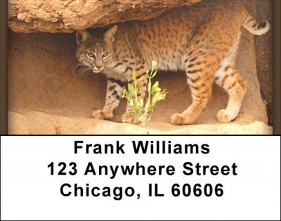 Bobcats Address Labels | LBZANI-48