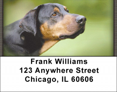 Doberman Address Labels | LBZANI-62