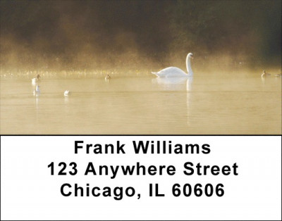 Ducks at Daybreak Address Labels | LBZANI-64