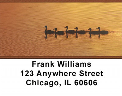 Ducks on a Golden Pond Address Labels | LBZANI-65