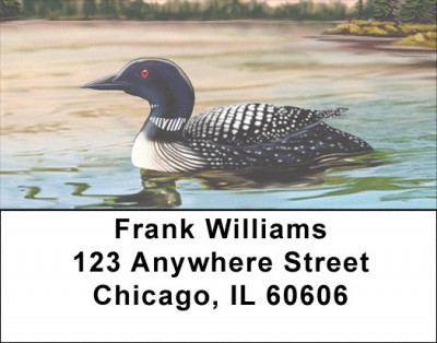 Composure Address Labels | LBZANI-99