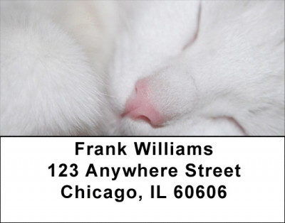 Total Bliss Address Labels | LBZANJ-24