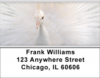 White Peacock Address Labels | LBZANJ-55
