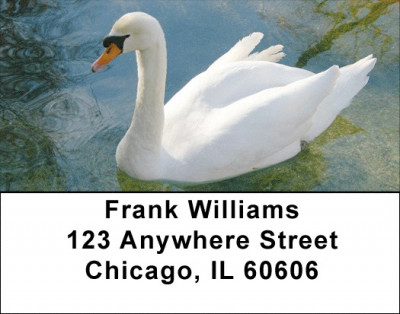 Beauty and Grace Address Labels | LBZANJ-75