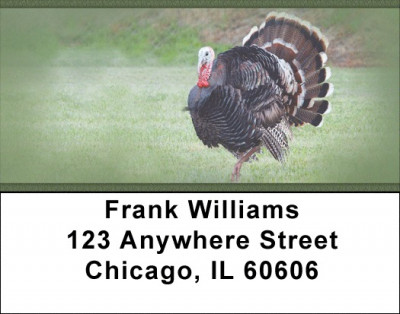 Turkey Treasures Address Labels | LBZANJ-82