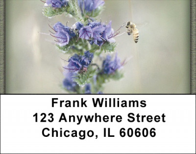 Busy Bees Address Labels | LBZANK-16