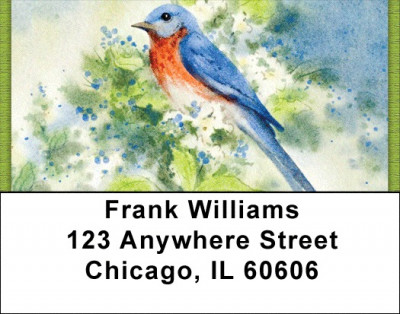Nesting Birds Address Labels | LBZANK-20