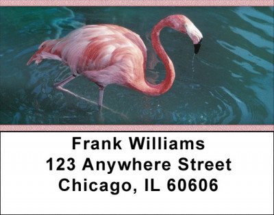 Flamingos In Wild Address Labels | LBZANK-37