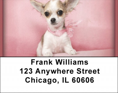 Chihuahuas Address Labels | LBZDOG-05