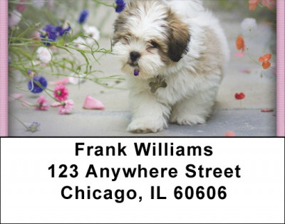 Lhasa Apso Address Labels | LBZDOG-30