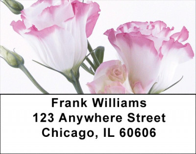 Everyday Is A Spring Day Address Labels | LBZFLO-17