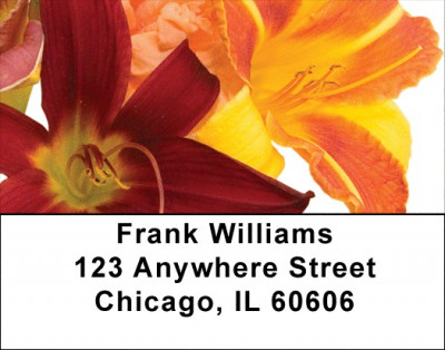 Day Lilies Address Labels | LBZFLO-24