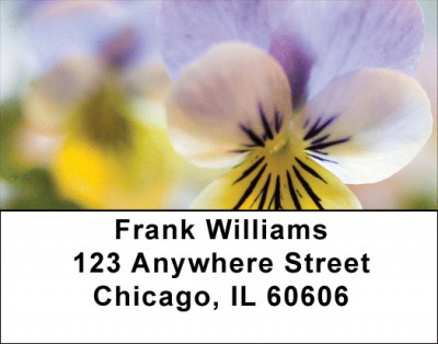 Playful Pansies Address Labels | LBZFLO-37