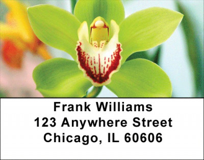 Tropical Floral Favorites Address Labels | LBZFLO-44