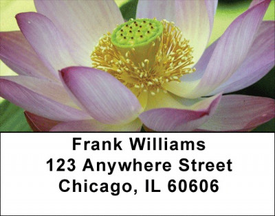 Mixed Floral Bouquet Address Labels | LBZFLO-50