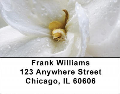 Wonder In White Address Labels | LBZFLO-54