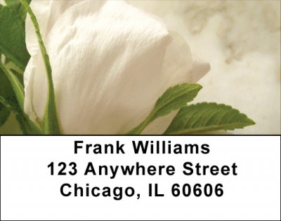 Yellow And White Florals Address Labels | LBZFLO-55