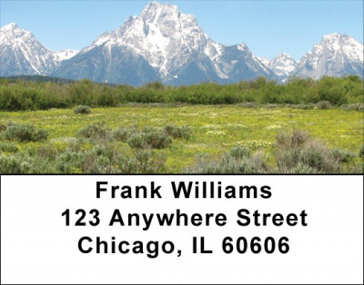 Mountain Wildflowers Address Labels | LBZFLO-65