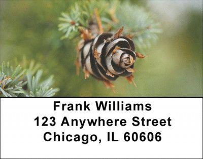 Pinecones A Plenty Address Labels | LBZFLO-66