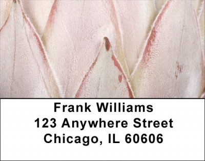 Protea Address Labels | LBZFLO-70