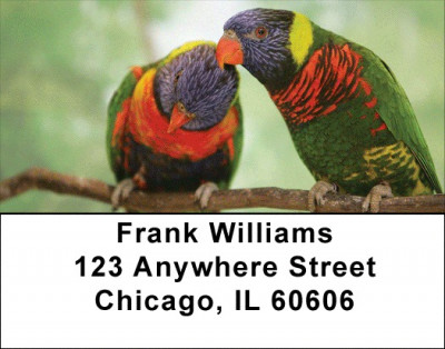 Love Birds In The Tropics Address Labels | LBZLOV-04