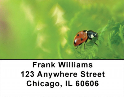 Fern With Insects Address Labels | LBZNAT-49