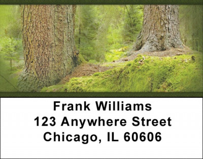 Mossy Oak Address Labels | LBZNAT-53