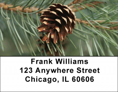 Pinecones Address Labels | LBZNAT-54