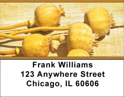 Dried Seed Pods and Flowers Address Labels | LBZNAT-58