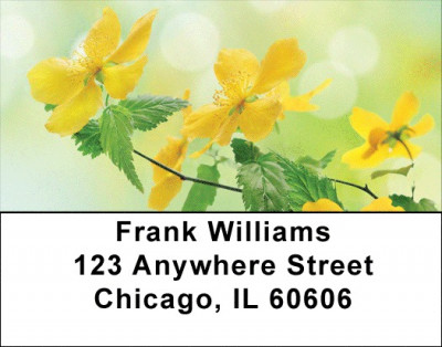 Wildflowers In Bloom Address Labels | LBZSCE-15
