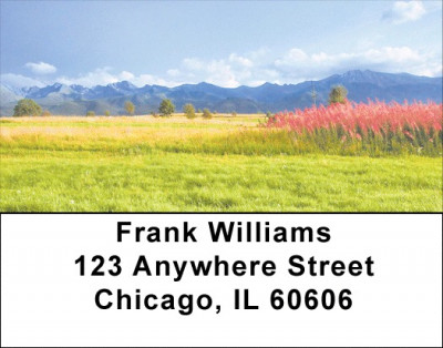 Foothills In Bloom Address Labels | LBZSCE-17
