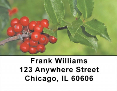 Holly With Greenery Address Labels | LBZXMS-03