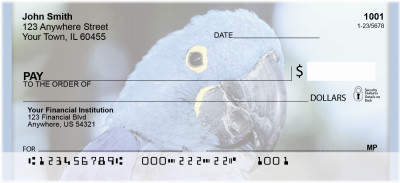 Parakeets In Paradise Personal Checks | QBA-49