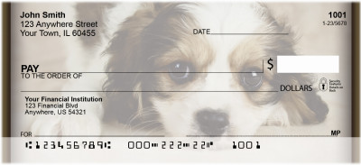 Cavachon Puppy Personal Checks | QBB-36