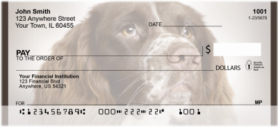 English Springer Spaniels Personal Checks | QBB-53