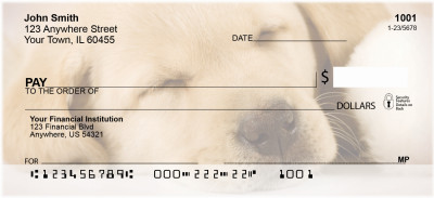 Yellow Labrador Puppies Personal Checks | QBB-73