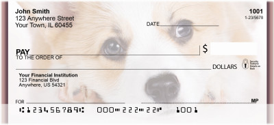 Pembroke Welsh Corgi Personal Checks | QBB-79