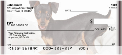 Playful Pincher Personal Checks | QBB-80