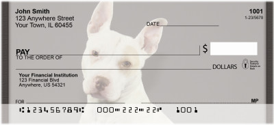 Pitt Bulldogs Personal Checks | QBB-81