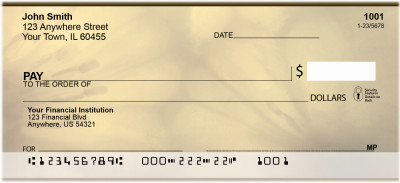 Transparent Personal Checks | QBM-47