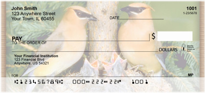 Baby Birds Personal Checks | ZANI-16