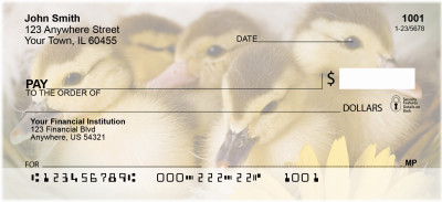 Ducklings in Spring Personal Checks | ZANI-63