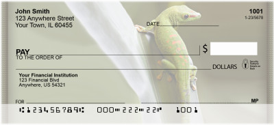 Geckos Personal Checks | ZANI-78