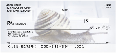 Slow Computer Personal Checks | ZANJ-69