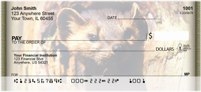 Ferrets Personal Checks | ZANK-34