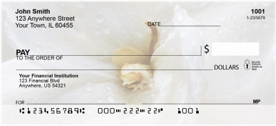 Wonder In White Personal Checks | ZFLO-54