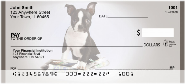 Smart Boston Terriers | BCA-80