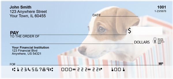 Jack Russell Terrier Puppies | BCA-82