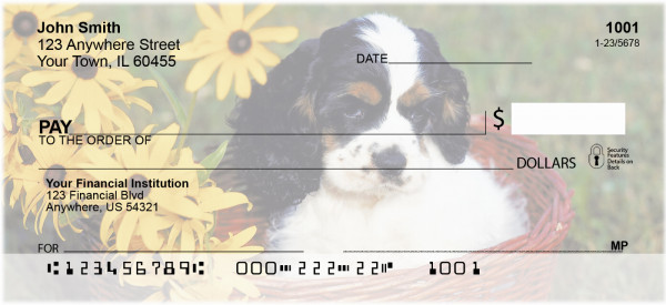 Cocker Spaniel Puppies Personal Checks