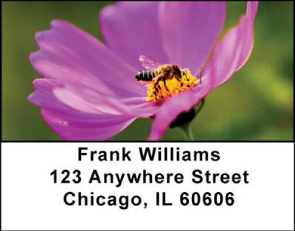 Bees Address Labels